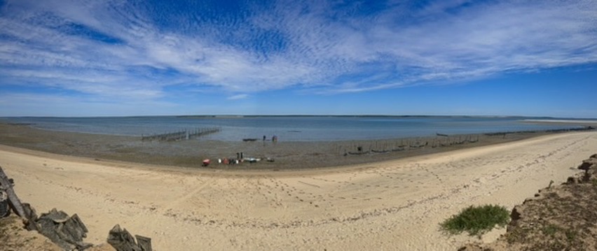 Panorámica del sitio de trabajo